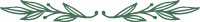 banner-image